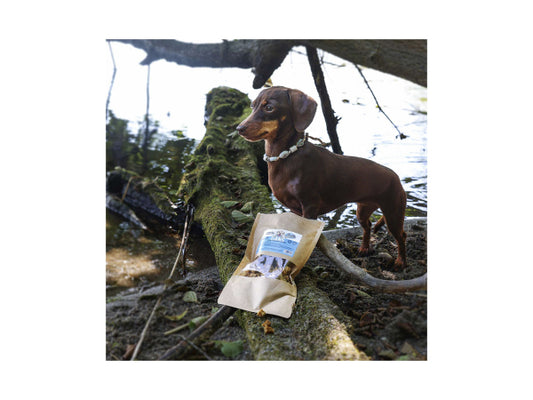 Sollis Solli's Snack Hund Mini-Fleischwürfel Gans 100g