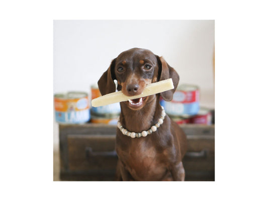 Sollis Solli's Snack Hund Himalaya Käse-Kaustange 5x Kaustange XS