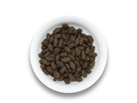 Sollis Solli's Snack Hund Fisch Leckerei 100g
