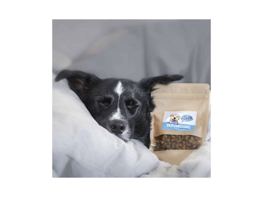 Sollis Solli's Snack Hund Beruhigender Geflügel Snack 80g
