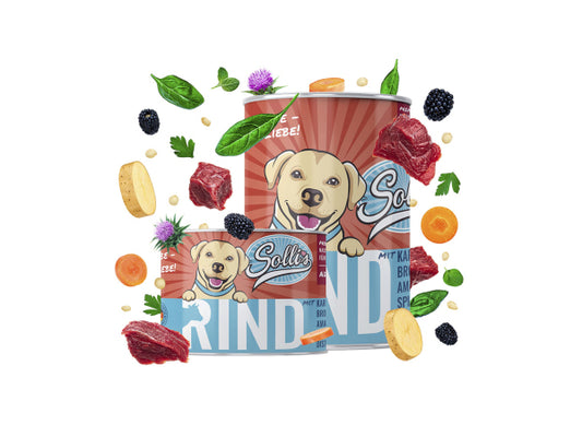 Kaufuniversum - Sollis Solli's NF Hund Rind 400g