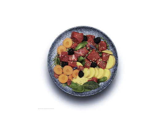 Sollis Solli's NF Hund Rind 200g