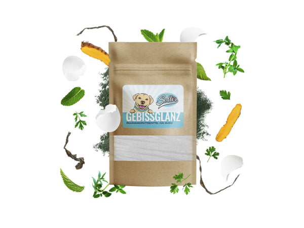 Kaufuniversum - Sollis Solli's FE Hund Gebissglanz - Dentalpulver 100g