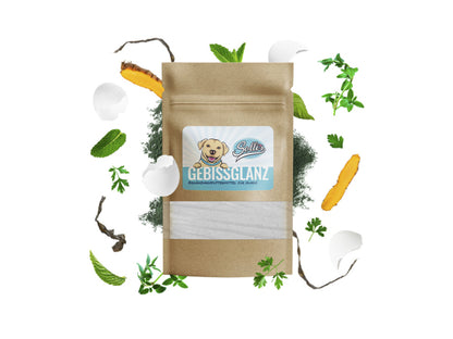 Sollis Solli's FE Hund Gebissglanz - Dentalpulver 100g