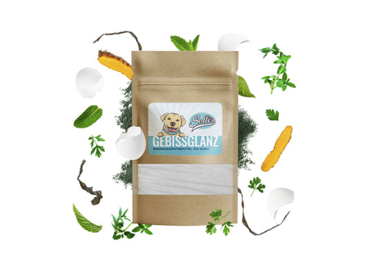 Kaufuniversum - Sollis Solli's FE Hund Gebissglanz - Dentalpulver 100g