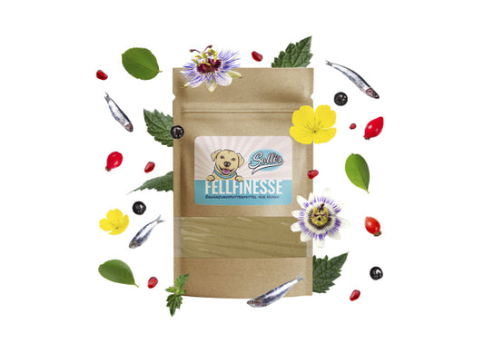 Kaufuniversum - Sollis Solli's FE Hund Fellfinesse - Pulver für Haut & Fell 100g