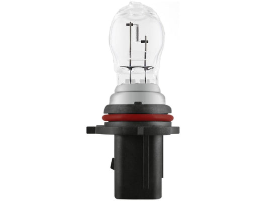 Kaufuniversum - OSRAM Glühlampe 12V PG18.5d-1