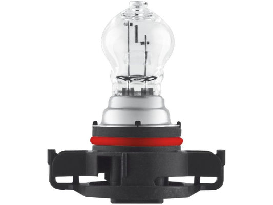 Kaufuniversum - OSRAM Glühlampe 12V 24W PG20-7