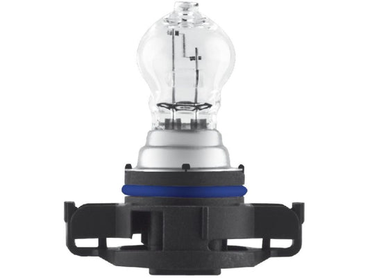 Kaufuniversum - OSRAM Glühlampe 12V 24W PG20-3
