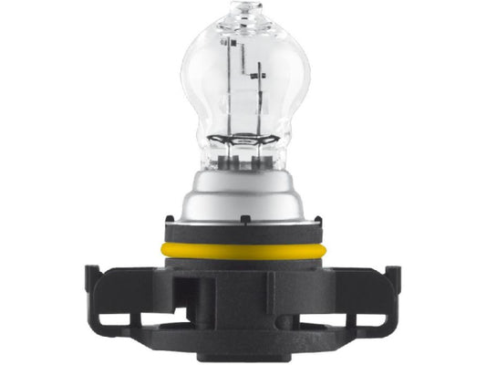 Kaufuniversum - OSRAM Glühlampe 12V 19W PG20-1