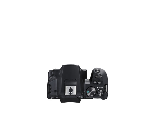 Kaufuniversum - Canon EOS 250D Body