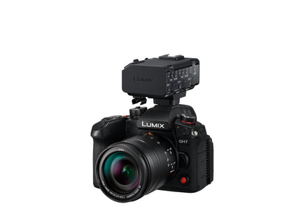 Panasonic DMW-XLR2E Video Interface