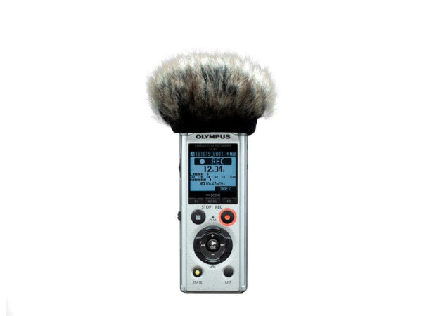 Kaufuniversum - OM System Olympus LS-P1 Linear PCM Recorder