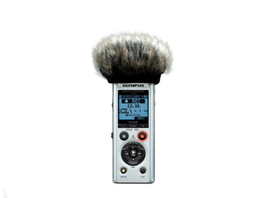 OM System Olympus LS-P1 Linear PCM Recorder