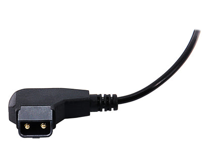 Patona D-TAP Coupler Panasonic DMW-BLK22